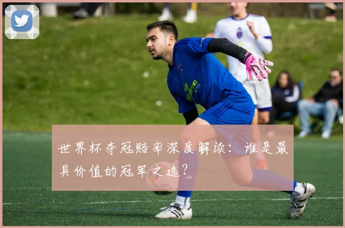 世界杯夺冠赔率深度解读：谁是最具价值的冠军之选？